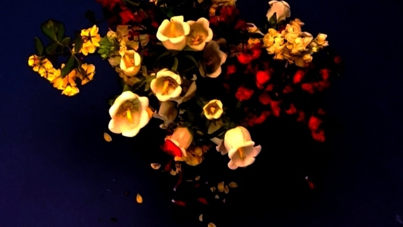 Les Jardins enchantés