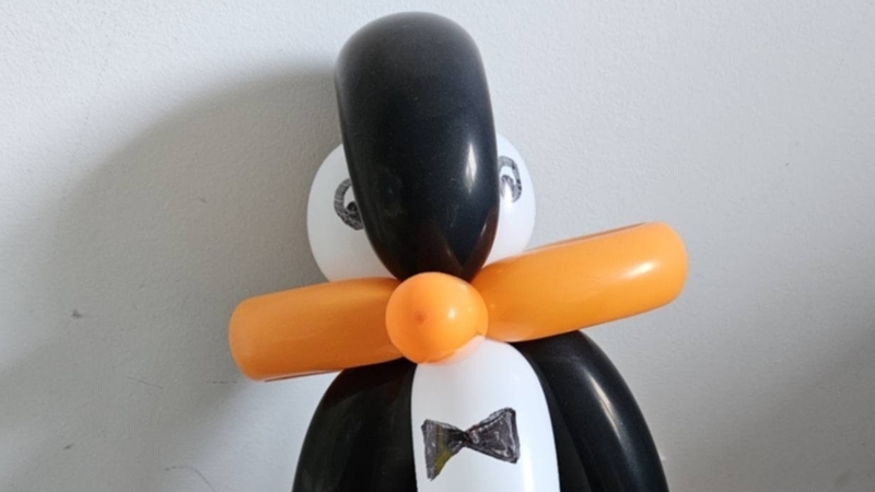 Magie et sculptures sur ballons 